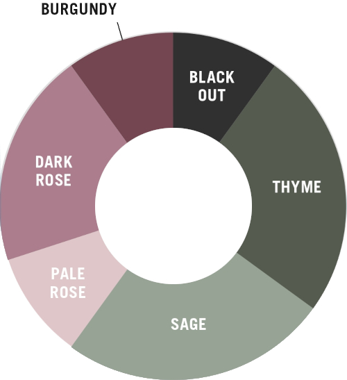 color-story-women-11